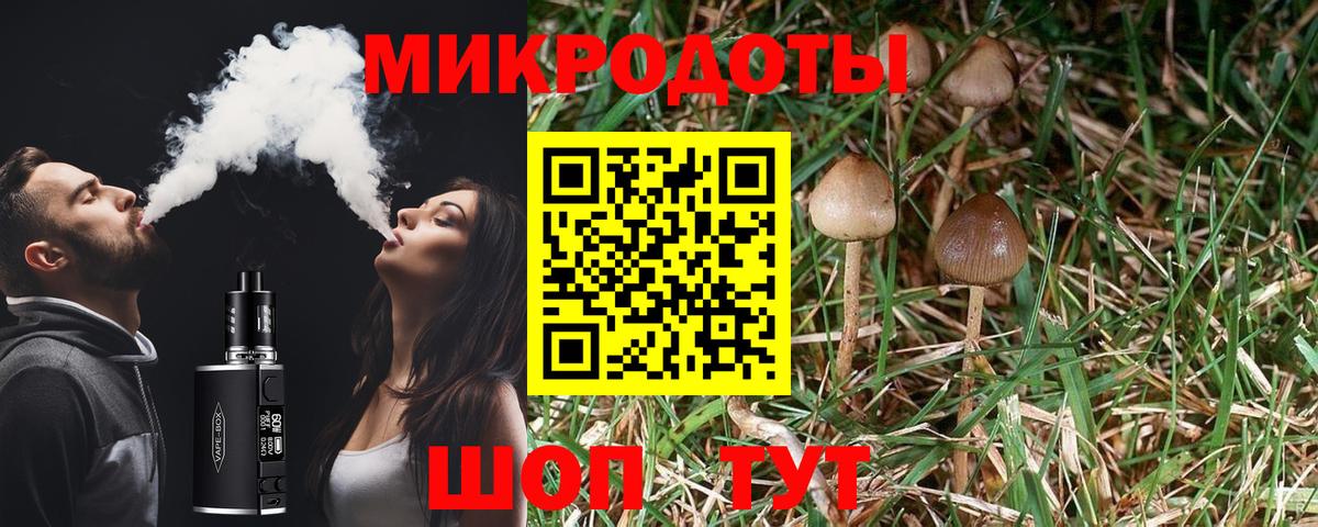 Галлюциногенные грибы мицелий Новошахтинск